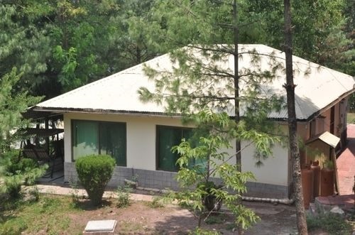 Chinar Family Resort