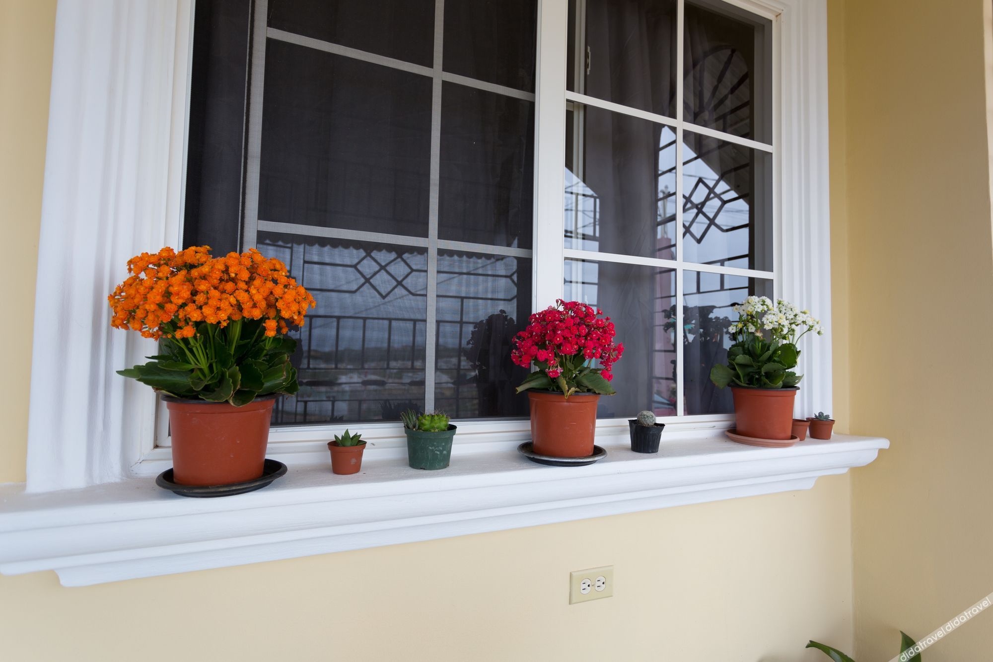 The Hellshire Beach House