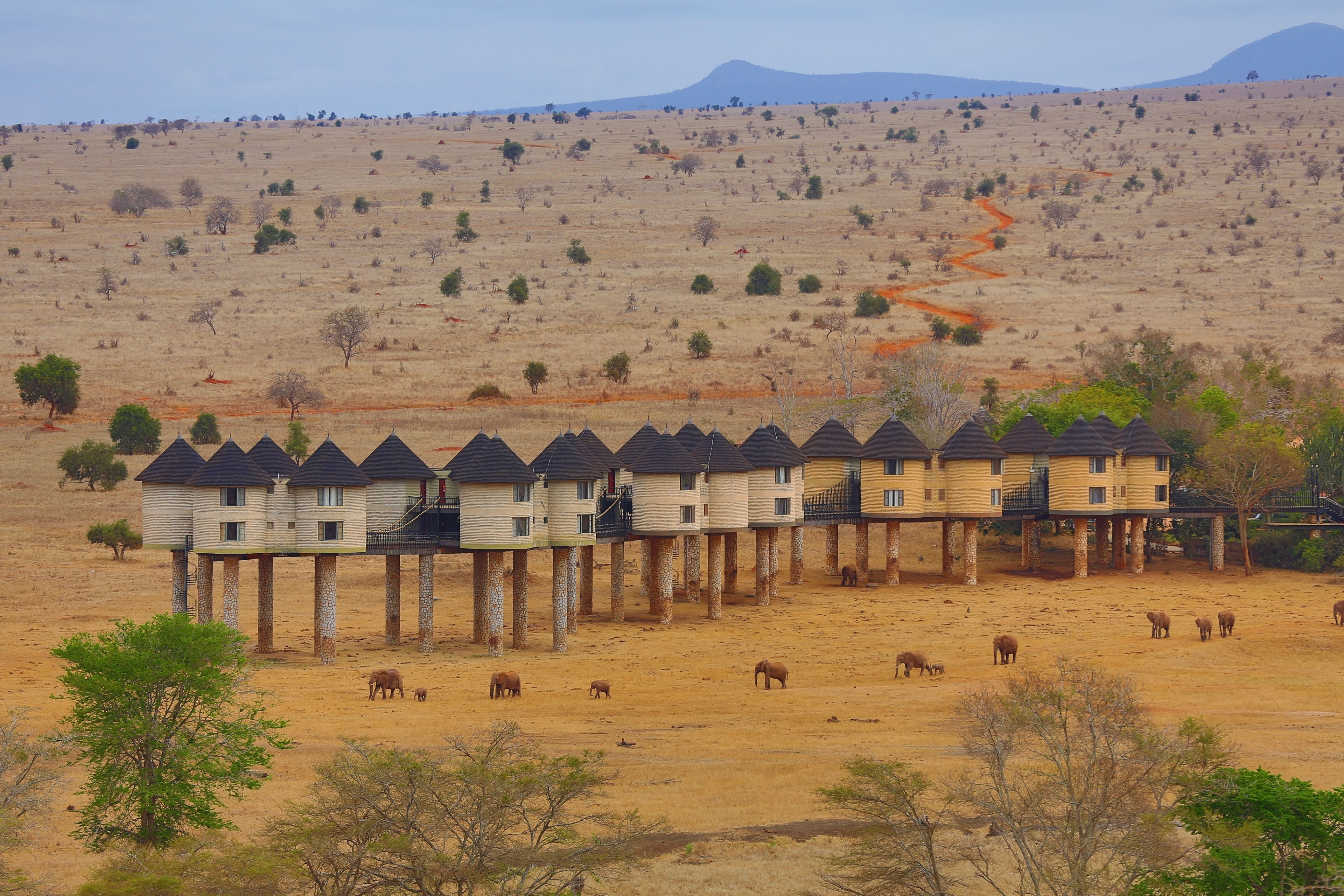 Salt Lick Safari Lodge