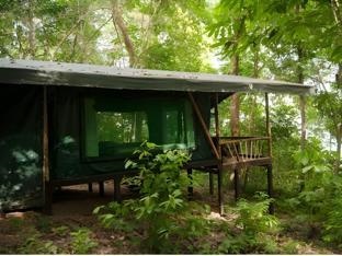 La Leona Eco Lodge