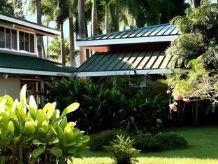 Barcelo Tambor - All Inclusive