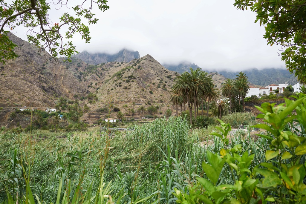 Finca Pinero