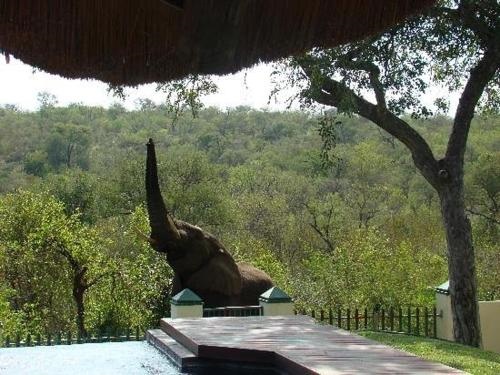 Muweti Bush Lodge