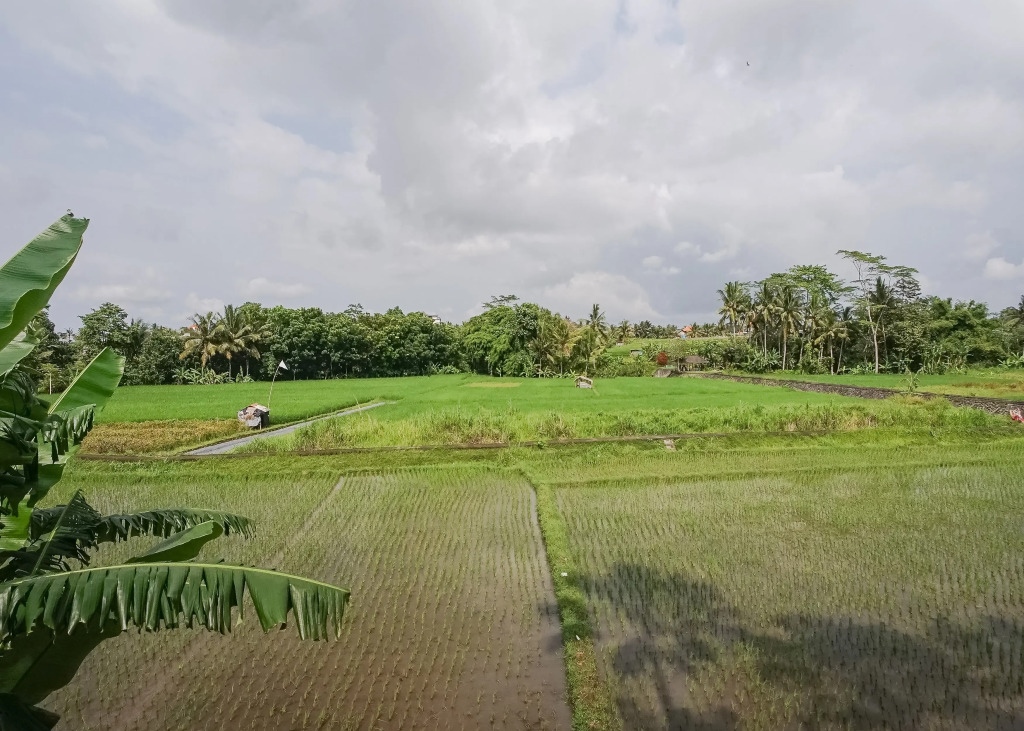 Balam Bali Villa