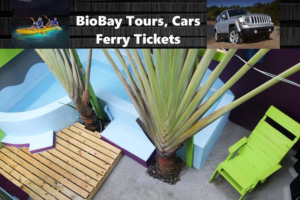 Vieques Good Vibe House