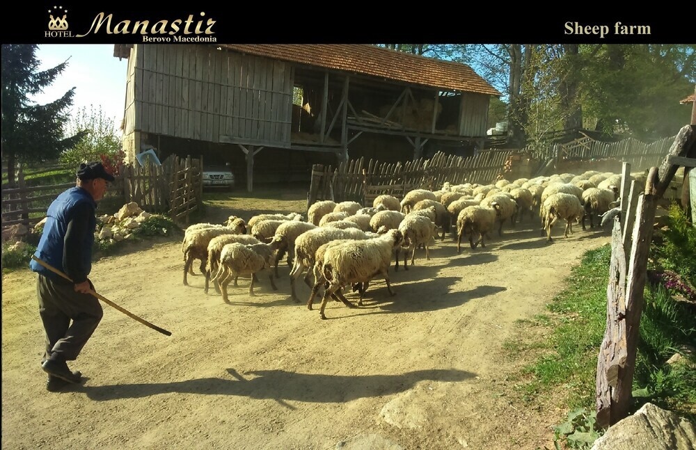 Hotel Manastir Berovo