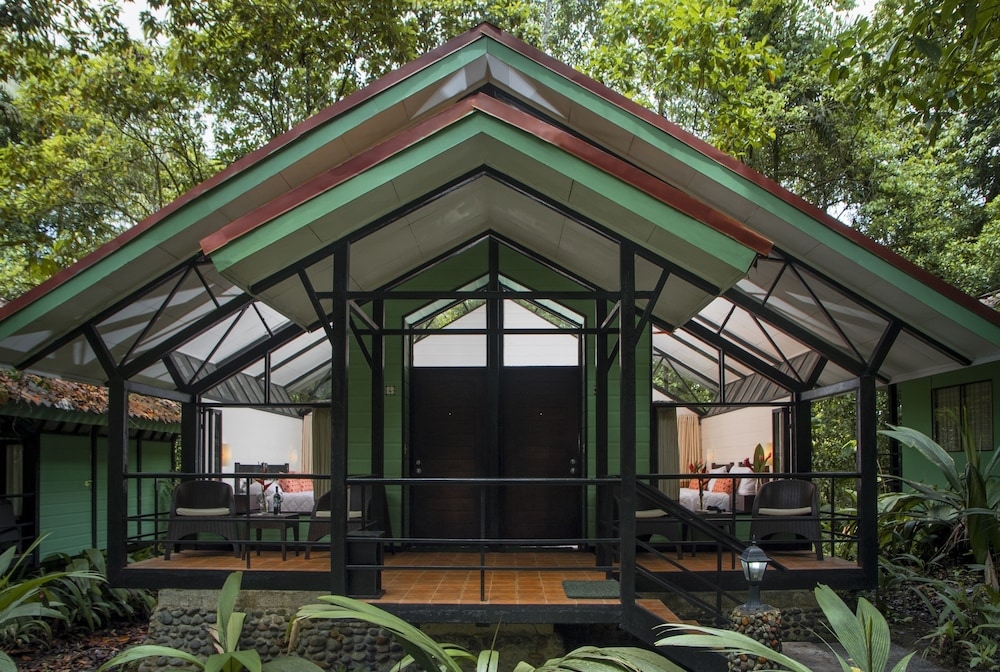 Rainforest Adventure Lodge