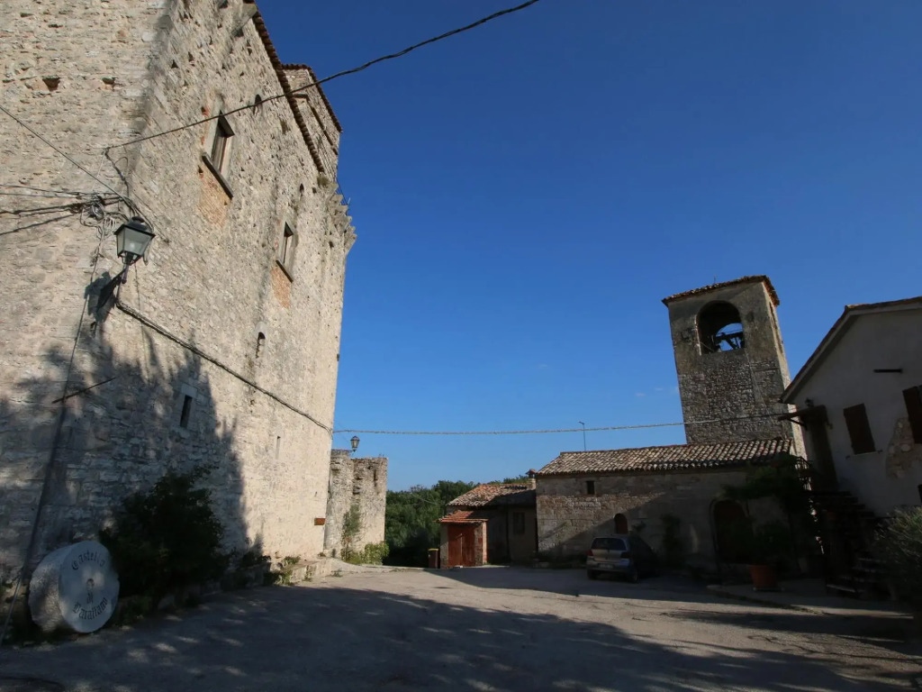 Historic Castle With View