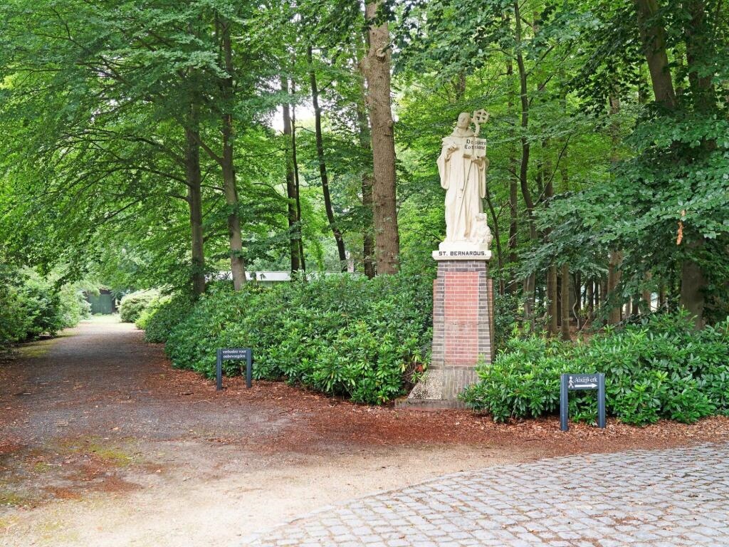 Cottage in Schijf With Garden