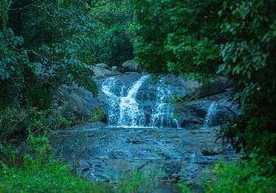 Wild Courtyard Wayanad Resort
