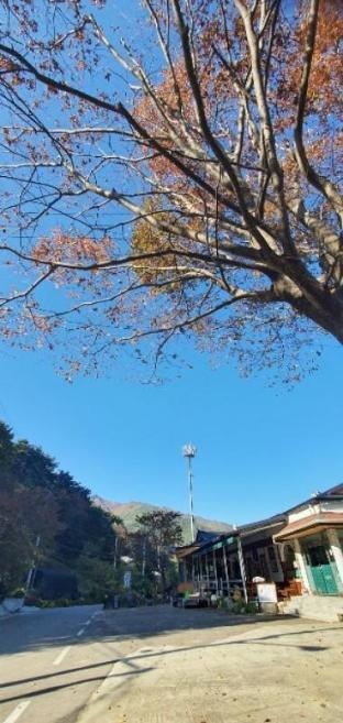 Hamyang Mountain Village Pension (Jirisan)