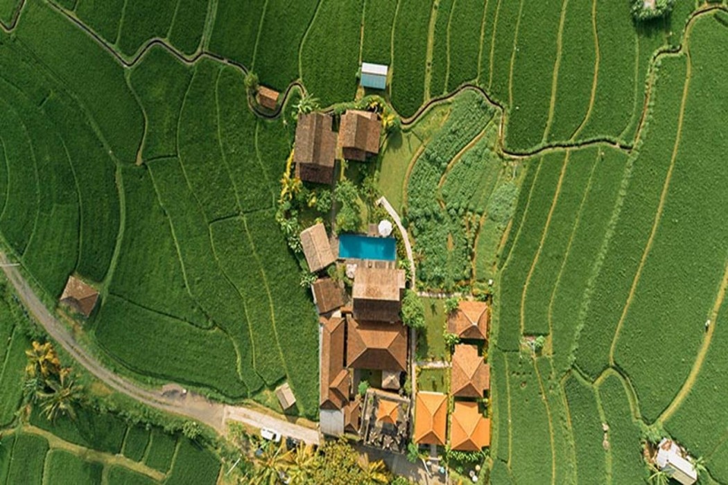 Kubu Sakian