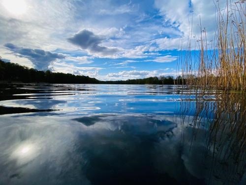 Haus Waldidyll Am Sea