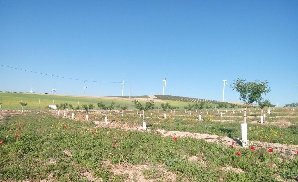 Alojamiento Rural El Oregano