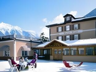 Hotel Vioz - Family Hotel & Apartments