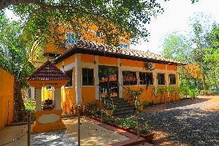 Auro Wellness Castle