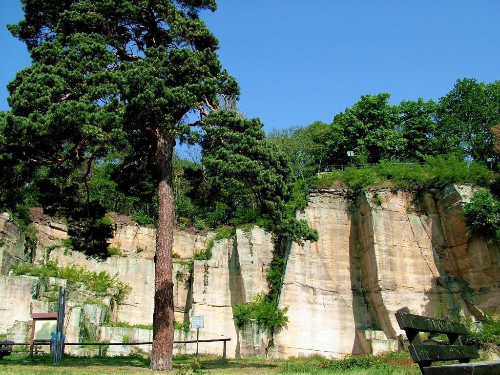 Gartenhotel Heusser & Doggy Wellness