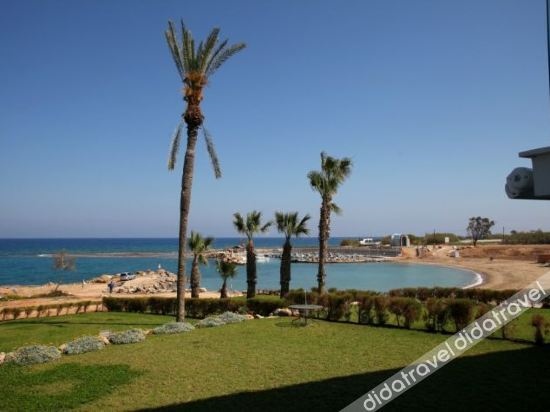 PETA5 Lilly Suite - CHG