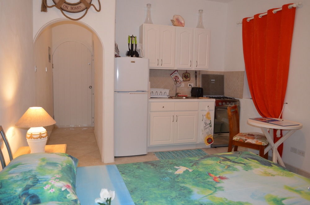 Tropical Gecko Studio