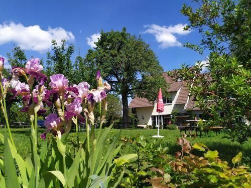 Landgasthof Zum Rappen (Adults Only)