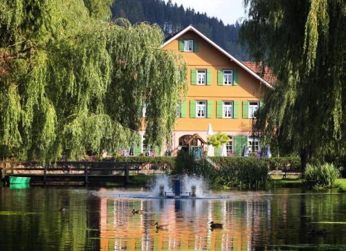 Hotel Zur Alten Muhle