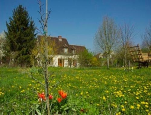 Chambres d'Hote Les Pierries