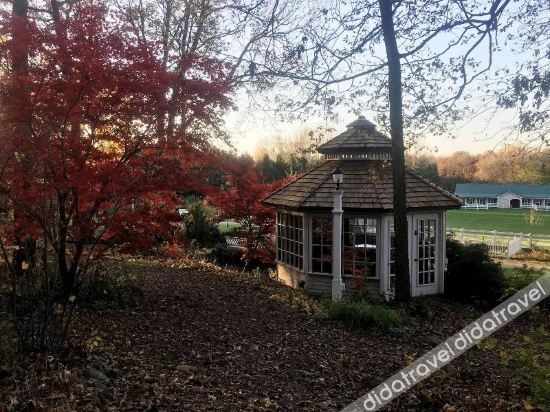 The Speckled Hen Inn Bed And Breakfast