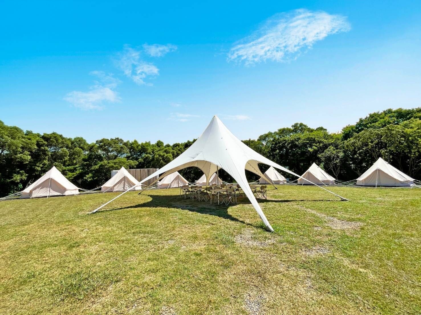 Alive Glamping Base