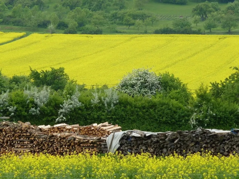 Holiday Apartment Old Town Hall