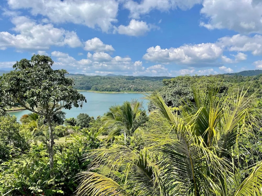 The Fruit Tree Garden Bromeliad Suite