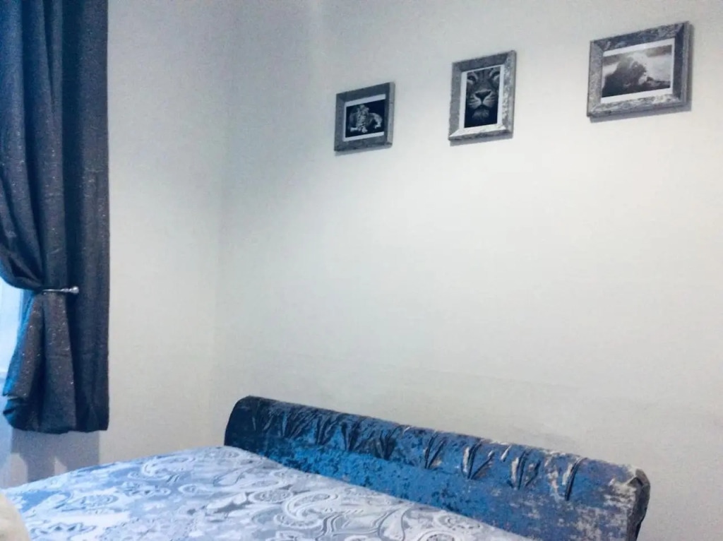 The Lion'S Den On Royal Street