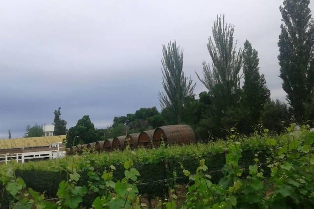 Apartamento entre viñedos