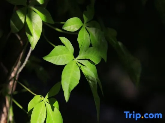 Tianchidu Hot Spring Resort