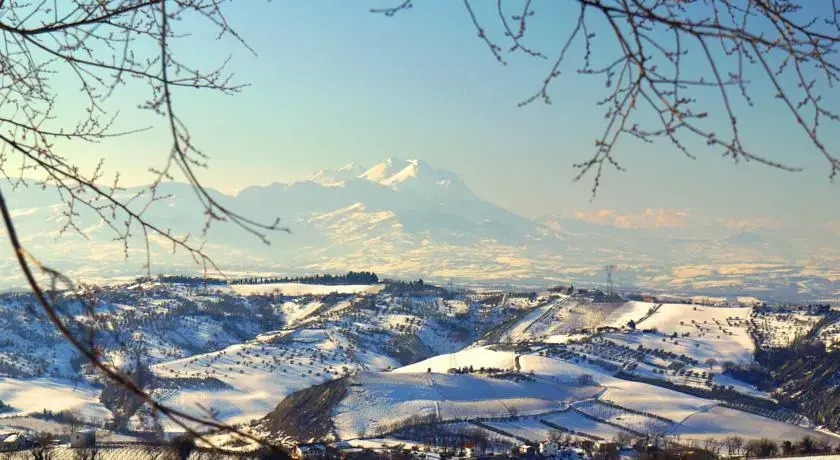 Villa Leonardo Apartments