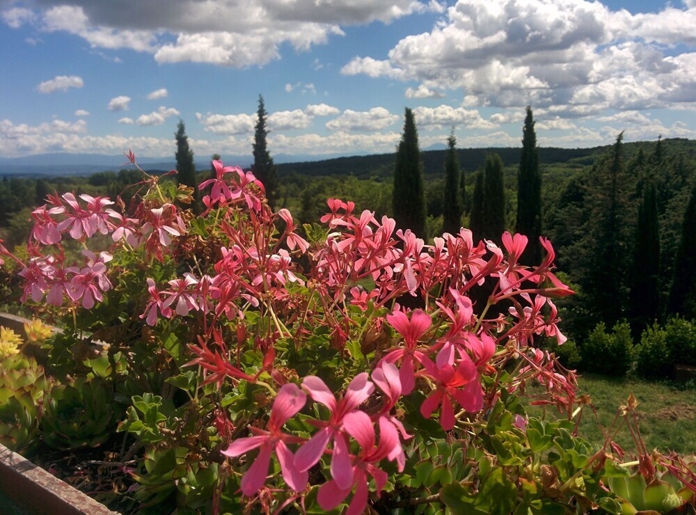 Maison De Dame Tartine
