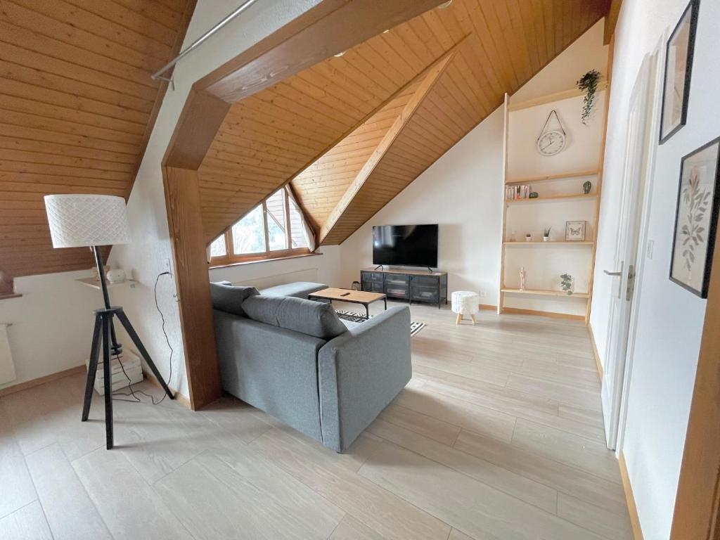 Cosy appartement lumineux et spacieux a Charmey