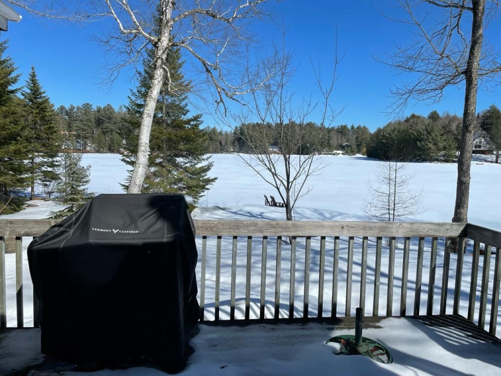 Bear Essentials Lakefront Hideaway