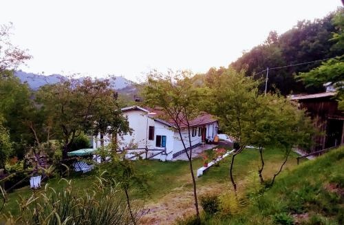 B&B La Casa Del Daino