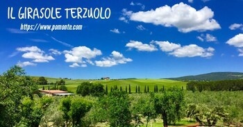 Agriturismo B&B Il Girasole Del Terzuolo