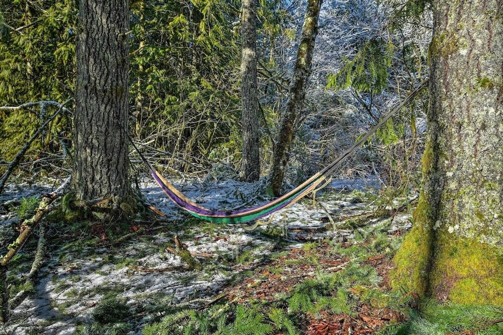 Mysty Mountain Cabin on River: Near Stevens Pass!