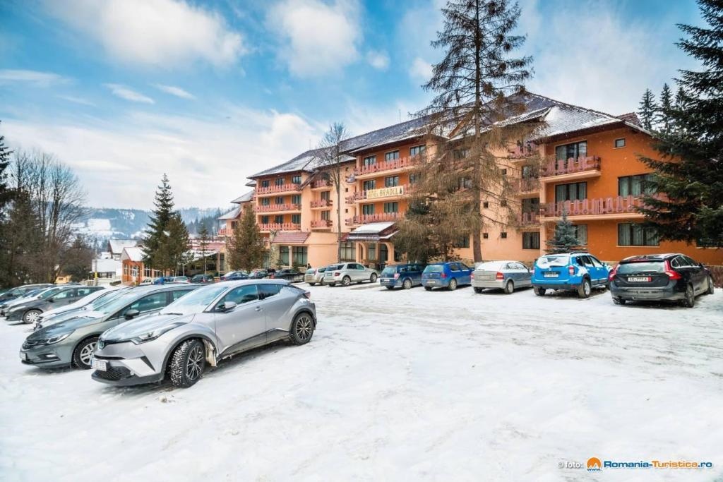 Hotel Bradul