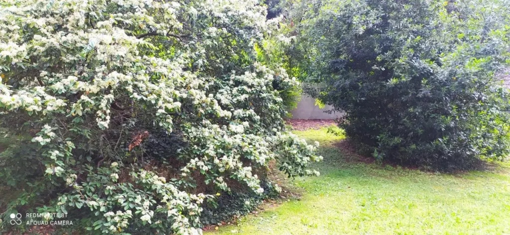 Charmant F1 Paris Expo Porte de Versailles