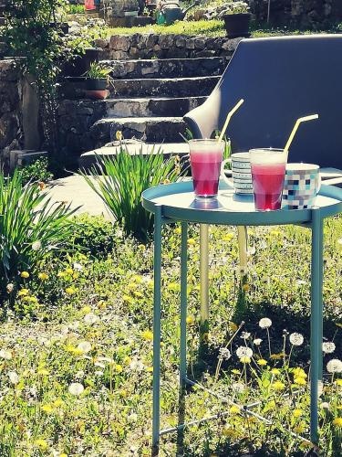 Apartment Jazz Golubac