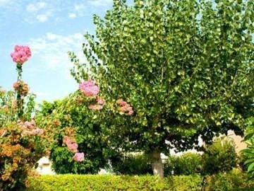 Alfa Hotel Apartments