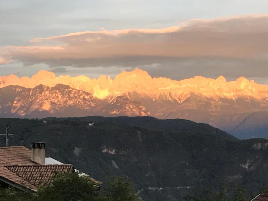 Beckenbinder Apartement Latemar