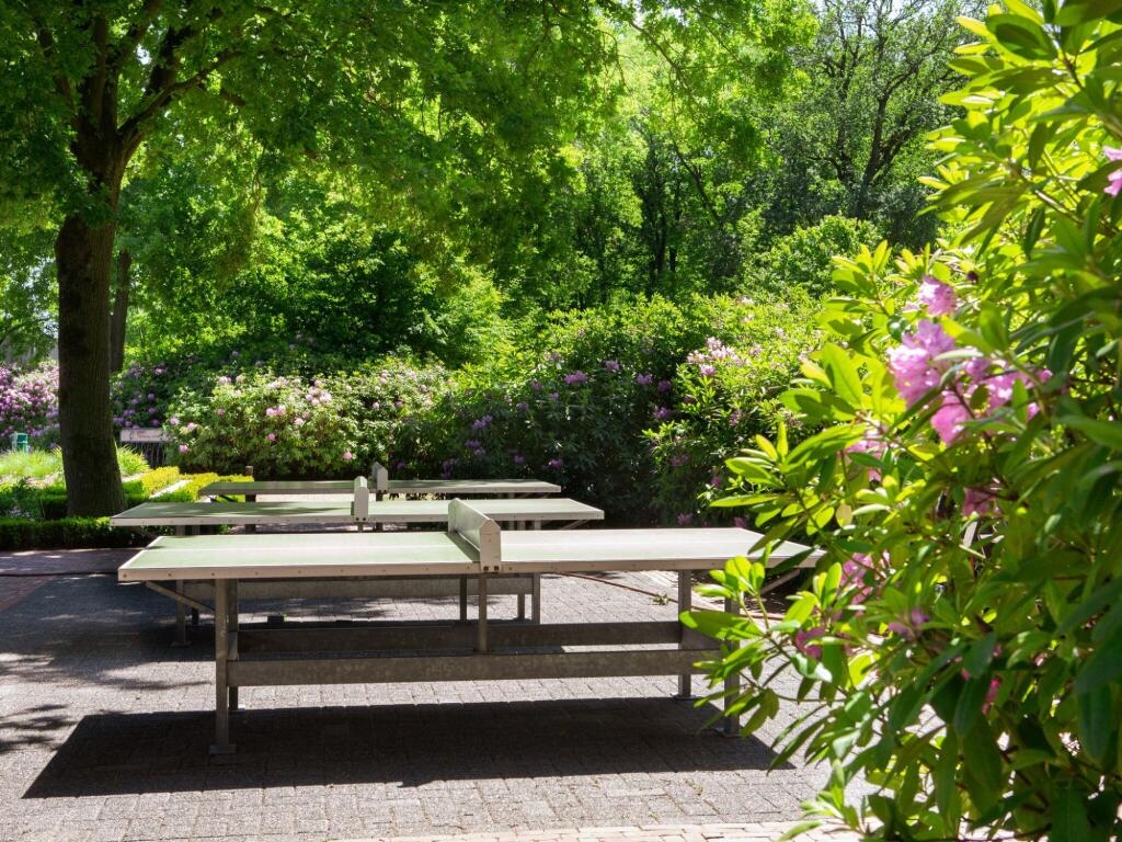 Cozy Tiny House With a Nice Terrace Near Eindhoven