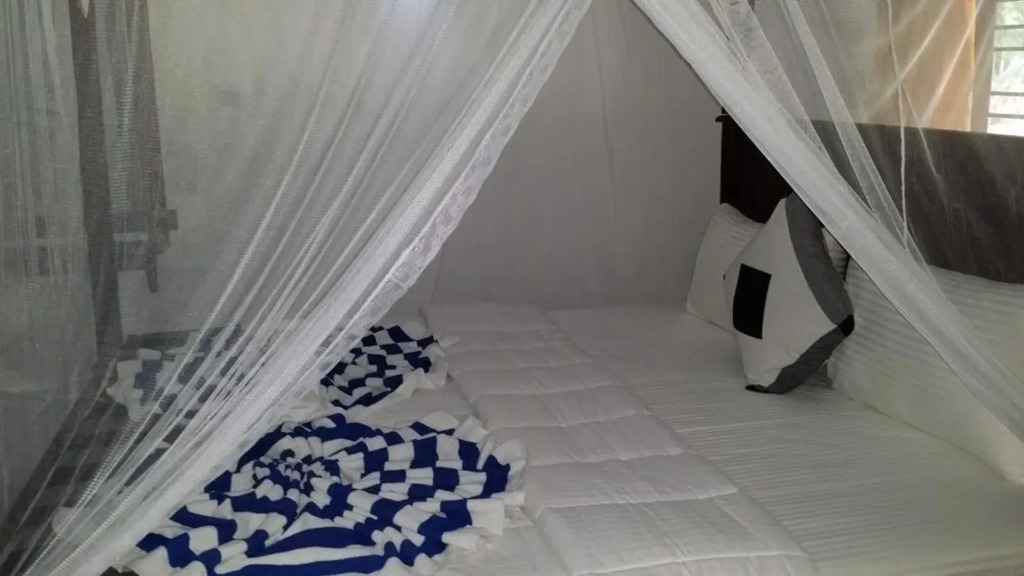 eco Beach villa home stay