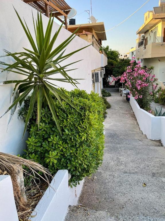 Central Neighborhood House