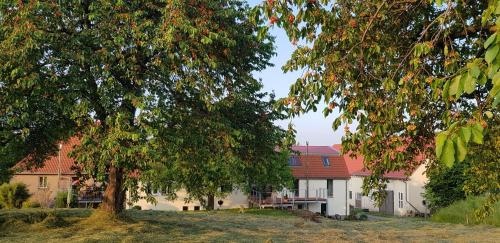 Gut Belgerhof Steinbach Ferienwohnung