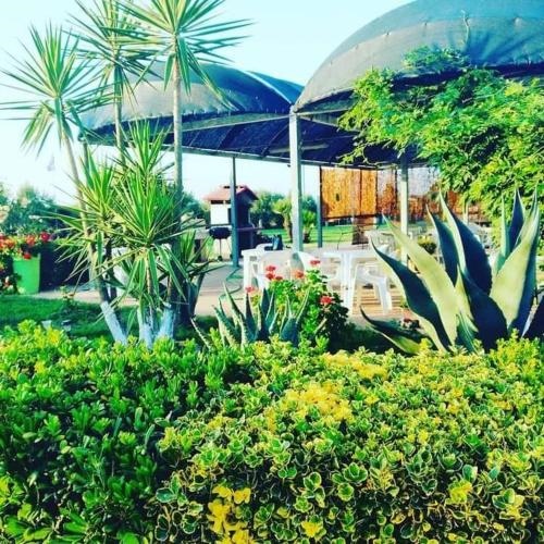 La Tenuta Del Passero